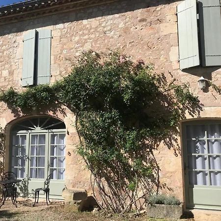 Domaine De La Durantie Duplex Vieux Chateau Castelnau-de-Montmiral Luaran gambar