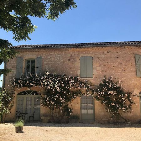 Domaine De La Durantie Duplex Vieux Chateau Castelnau-de-Montmiral Luaran gambar