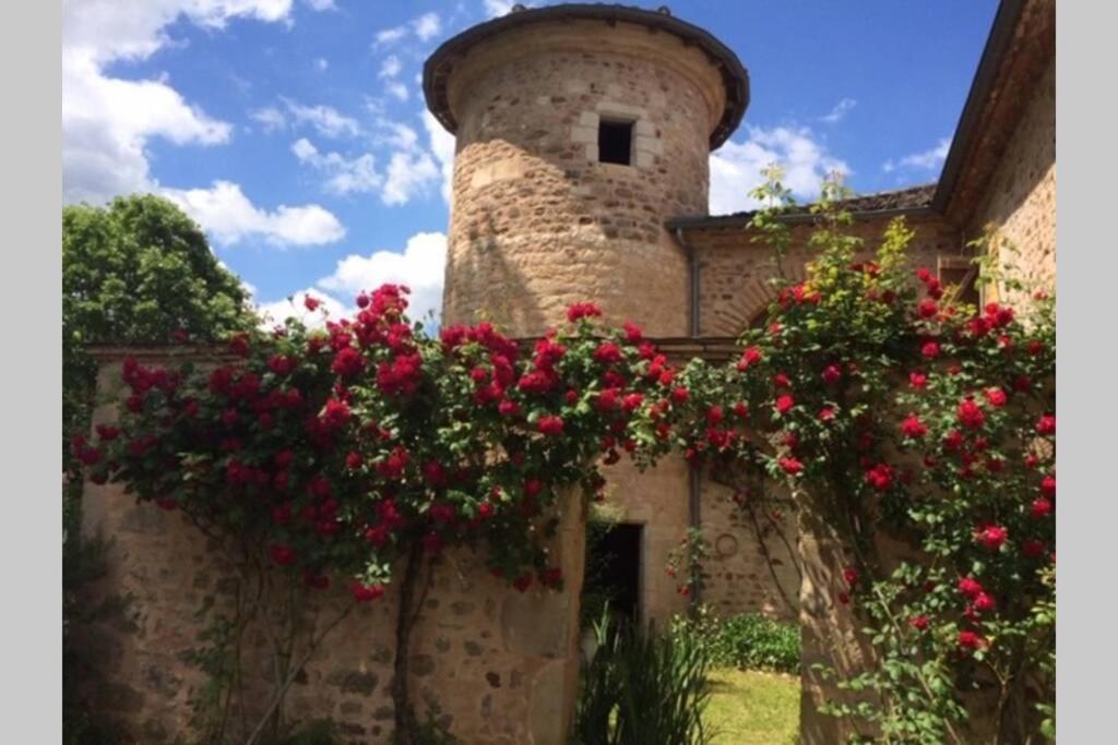 Domaine De La Durantie Duplex Vieux Chateau Castelnau-de-Montmiral Luaran gambar